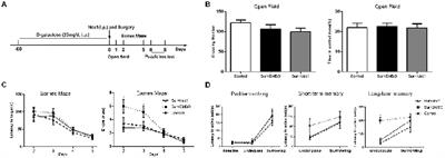 Inhibiting RIPK1 Limits Neuroinflammation and Alleviates Postoperative Cognitive Impairments in D-Galactose-Induced Aged Mice